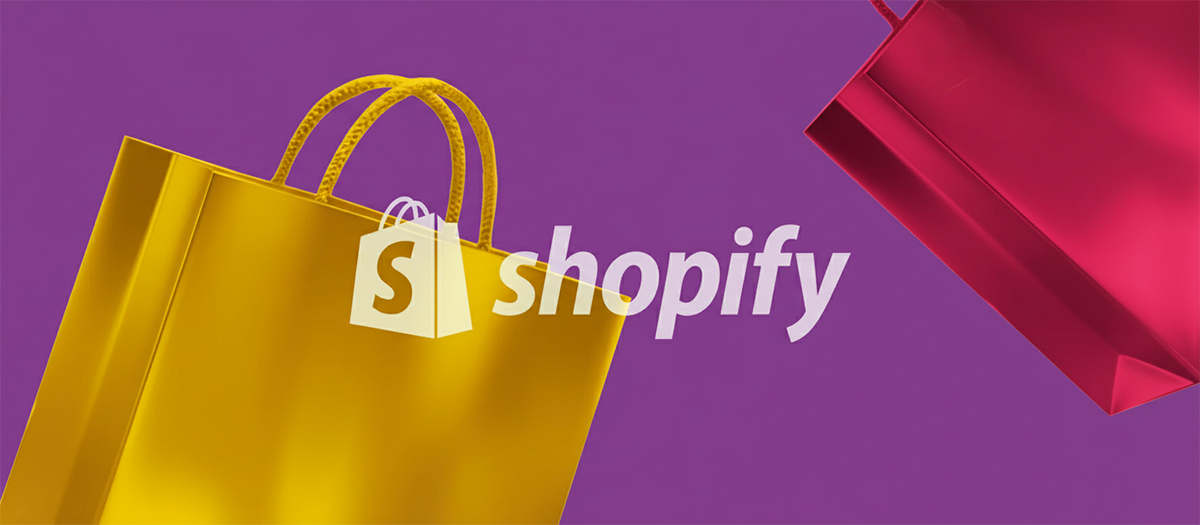Shopify payment processing fees